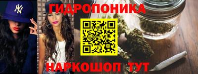 a pvp Аргун